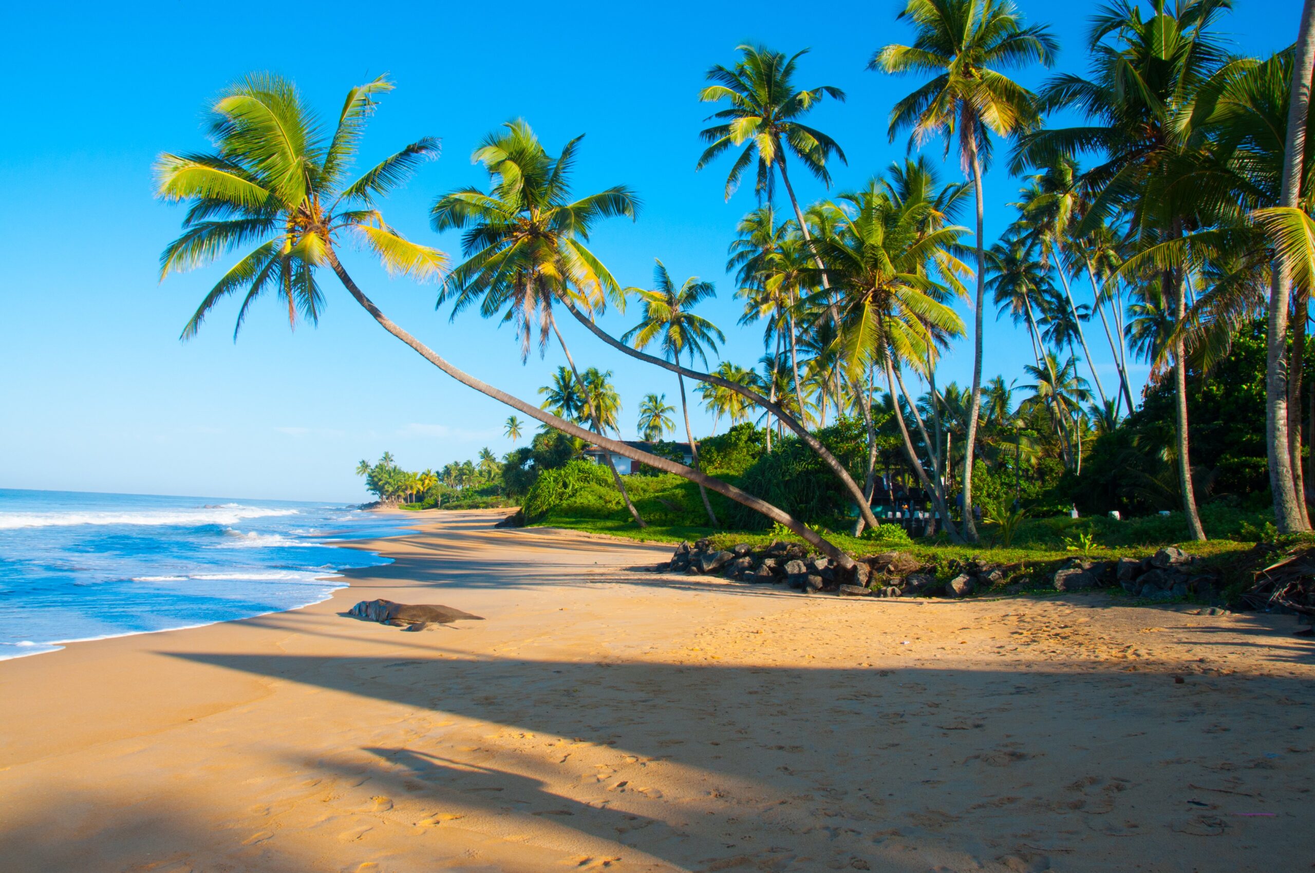 Ultimate guide to Srilanka scaled